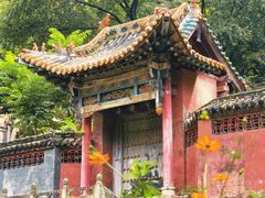 -藏山旅游风景区