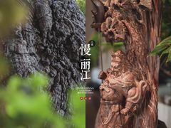 -慢丽江·云南野生菌土鸡锅(西山店)