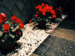 -丽晶大班SPA(大沽店)