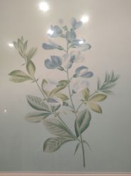-颜蕾医美·黄金微针·水光·玻尿酸·超声炮·抗衰中心