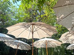 -Fern Forest Cafe