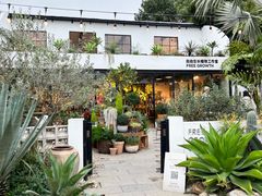 -自由生长植物工作室(深港花卉中心店)