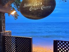 -卷心菜和避孕套餐厅(Pattaya)