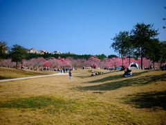 -风云岭森林公园