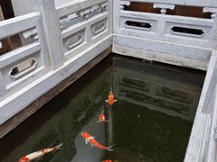-鲤院·新中式美学·庭院餐厅(夫子庙店)