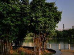 -后襄河公园