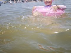 -碧海金沙