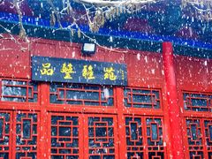-西安大兴善寺