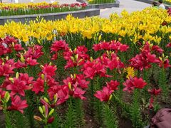 -长春公园(普阳街道)