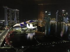 -新加坡丽思卡尔顿美年酒店