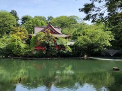 -井之头恩赐公园