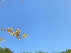 -赤水丹霞旅游区·大瀑布
