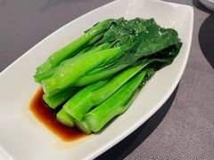 -韩上楼