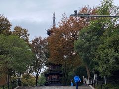 -上海佘山国家森林公园西佘山园