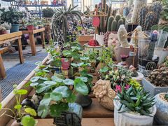 -三圣花乡旅游区