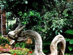 -南通洲际绿博园