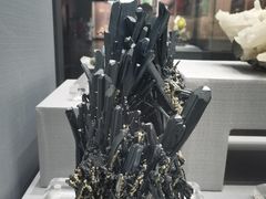 -湖南省地质博物馆