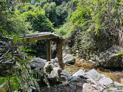 -旗山国家森林公园