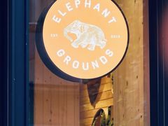 -Elephant Grounds(STARSTREET)