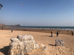 -石老人观光园
