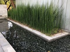 -木守西溪溪隐餐厅