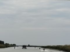 -洪湖生态旅游区