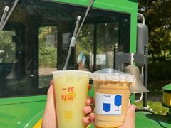 -同里国家湿地公园