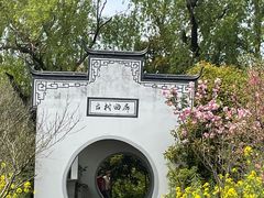 -南汇桃花村