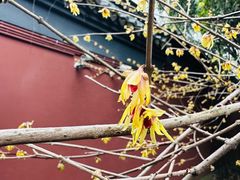 -钱王祠