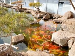 -罗红摄影艺术馆