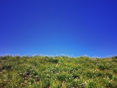 -牛背梁国家森林公园