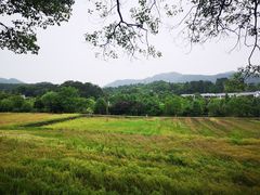 -韶山毛泽东同志故居