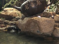 -厦门日月谷温泉渡假村