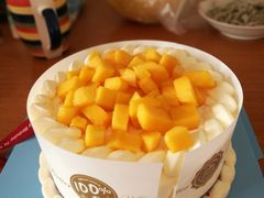 -维尔纳斯·生日蛋糕·动物奶油冰淇淋蛋糕(六里桥店)