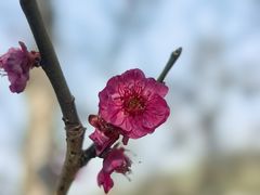 -无锡梅园公园