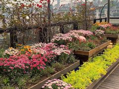 -冰冰龙虾·江湖菜·花园江景餐厅