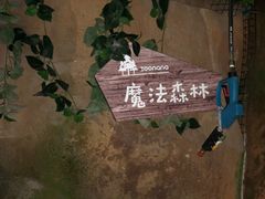 -zoonana室内动物园(东方福来德店)