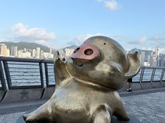 -星光大道