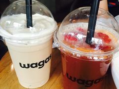 -Wagas沃歌斯(大学路店)
