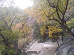 -北京鹫峰国家森林公园