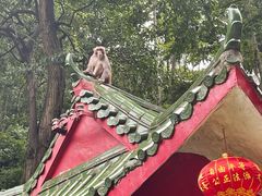 -黔灵山公园