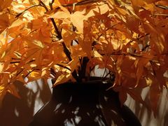 -Dragonfly 悠庭·按摩Spa(苏州中心广场店)