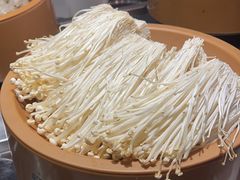 -龍歌自助小火锅(市南金茂湾店)