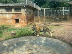 -昆明动物园