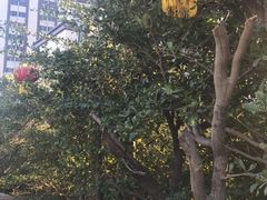 -惠州康帝国际酒店