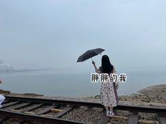 -海堤纪念公园