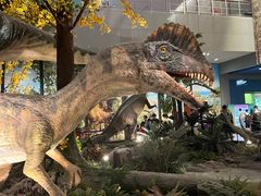 -湖南省地质博物馆