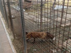 -河北村民俗体验园