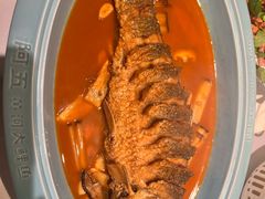 -阿五黄河大鲤鱼(英协路店)