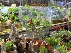 -青石桥花鸟鱼虫市场(叠翠城店)